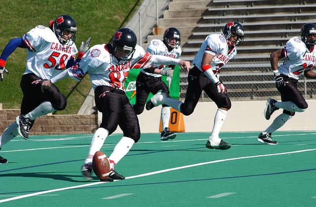 国际合作的 国际合作的