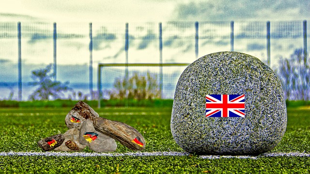 新的球场不 新的球场不